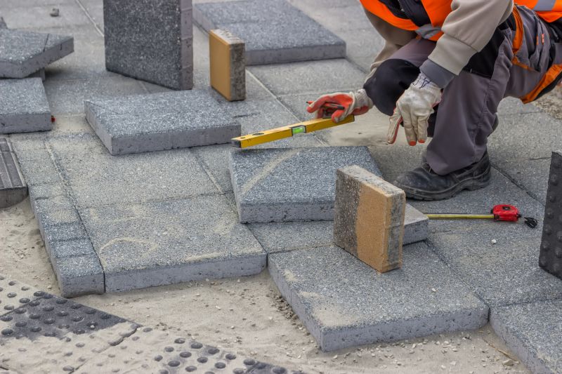 Professional tools for leveling pavers